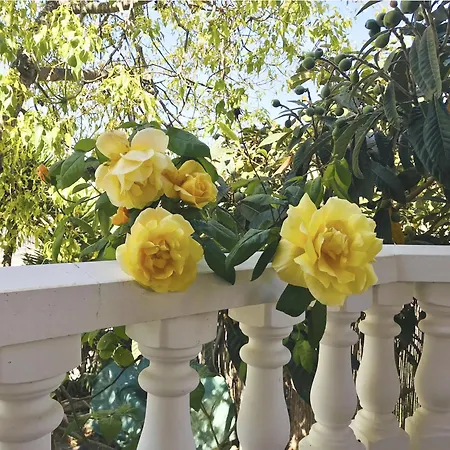 Les Moreres De Sitges, Mediterranean-style Family Escape Villa *